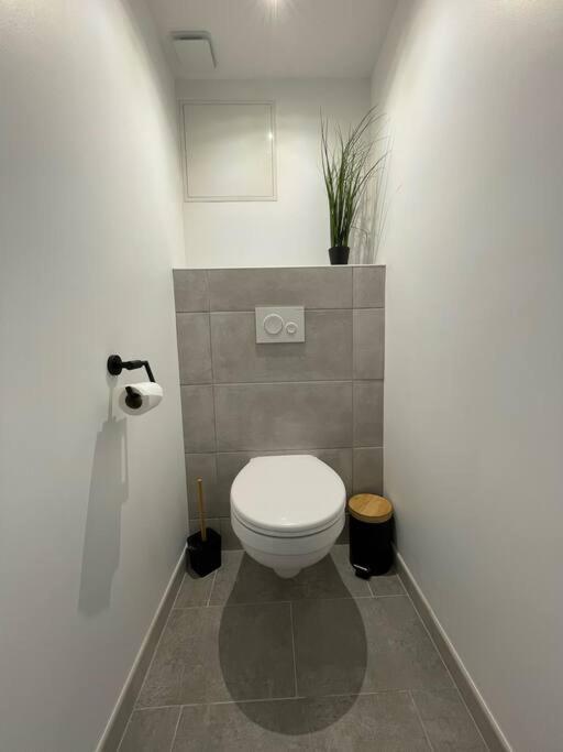 Logement Idealement Situe Sur La Voie Verte Celles-sur-Plaine Exterior photo